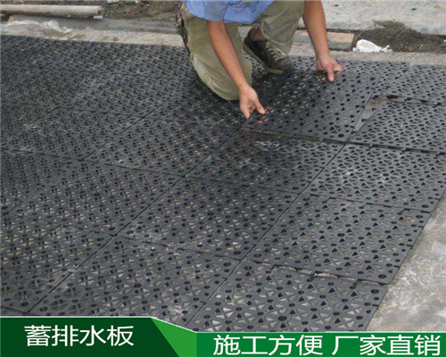 杨浦区蓄排水板实业集团-欢迎访问