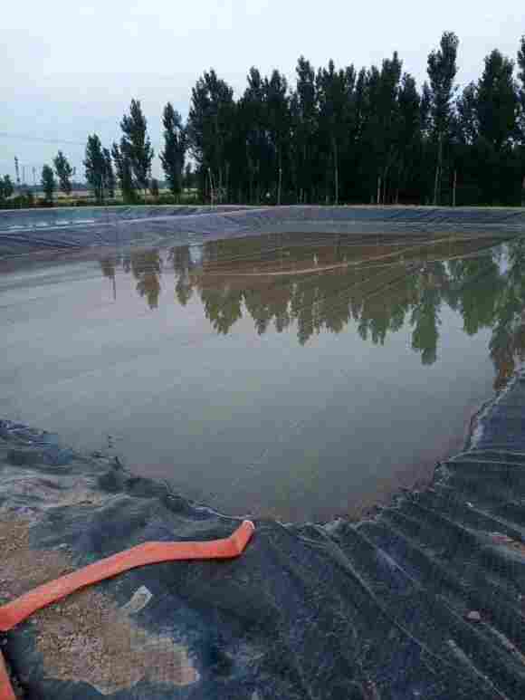 欢迎——松原藕池防渗膜——厂家（公司）欢迎您