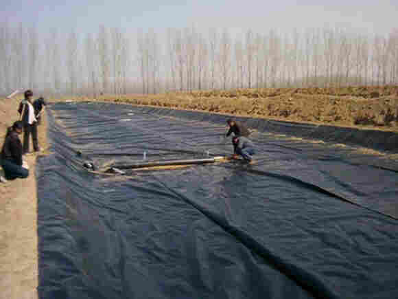 ：临汾复合土工膜厂家）——临汾欢迎您