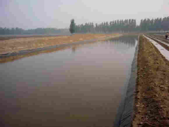 ：迪庆藕池防渗膜厂家——（土工膜价格）欢迎您