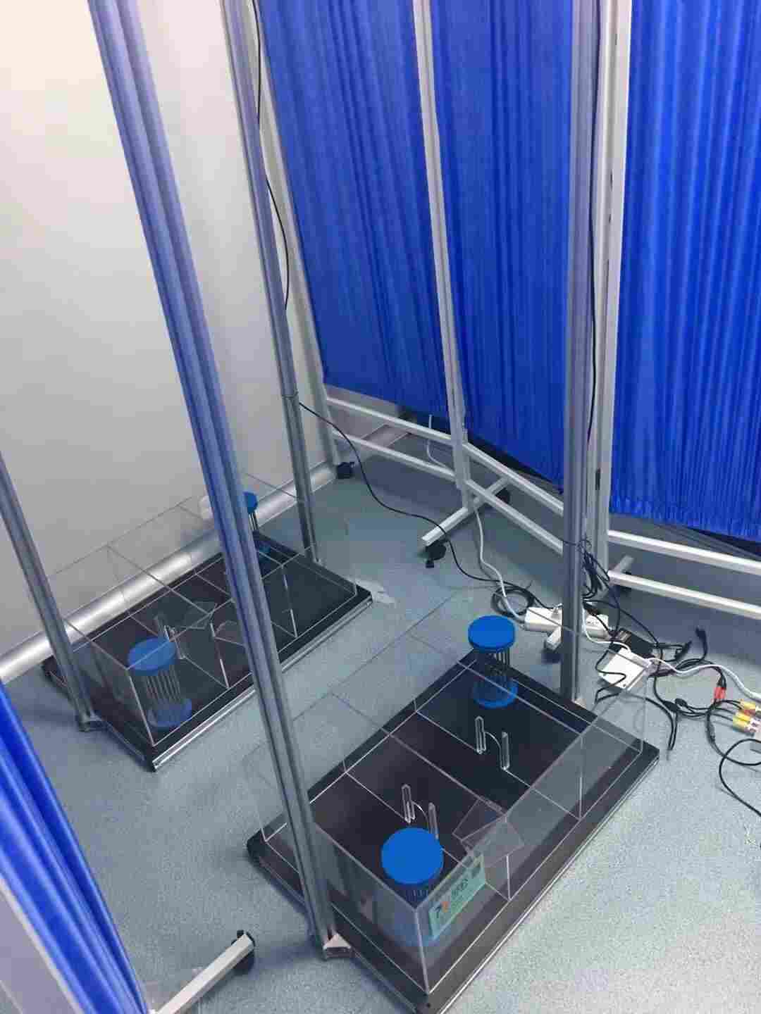 自闭症小鼠的行为学实验观察（上海欣软信息科技有限公司）