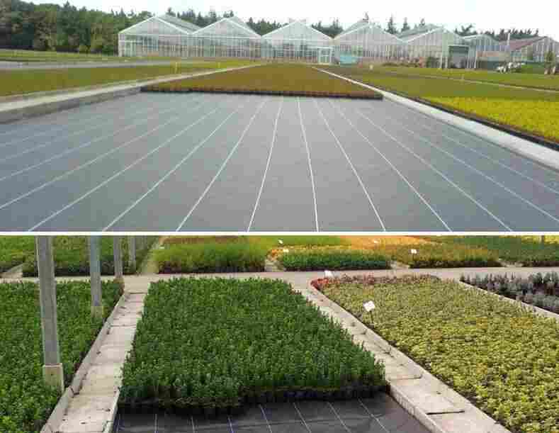 贵州防草布——山东洪泰——欢迎您