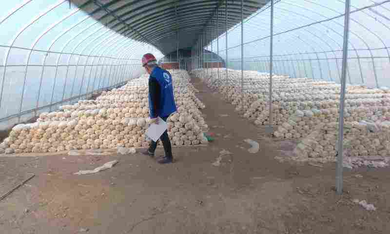 漯河市桥梁维修前检测鉴定机构