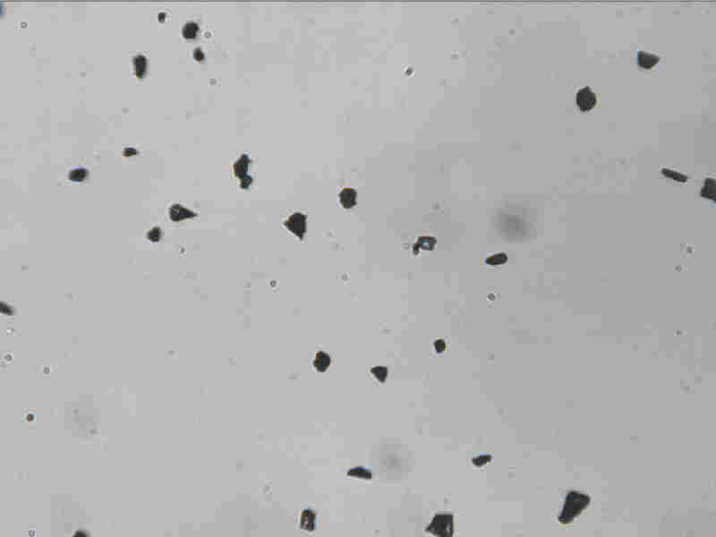 Winner100D动态颗粒图像仪