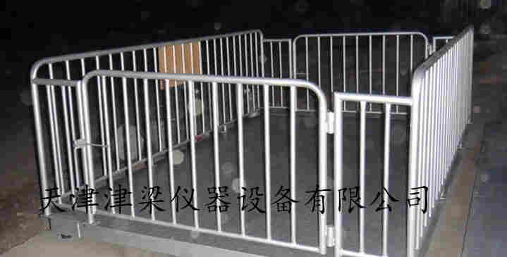 带围栏秤.jpg