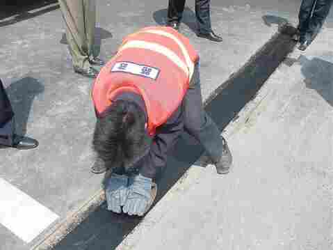 欢迎:白银护坡三维植被网厂家---护坡三维植被网//生产厂家