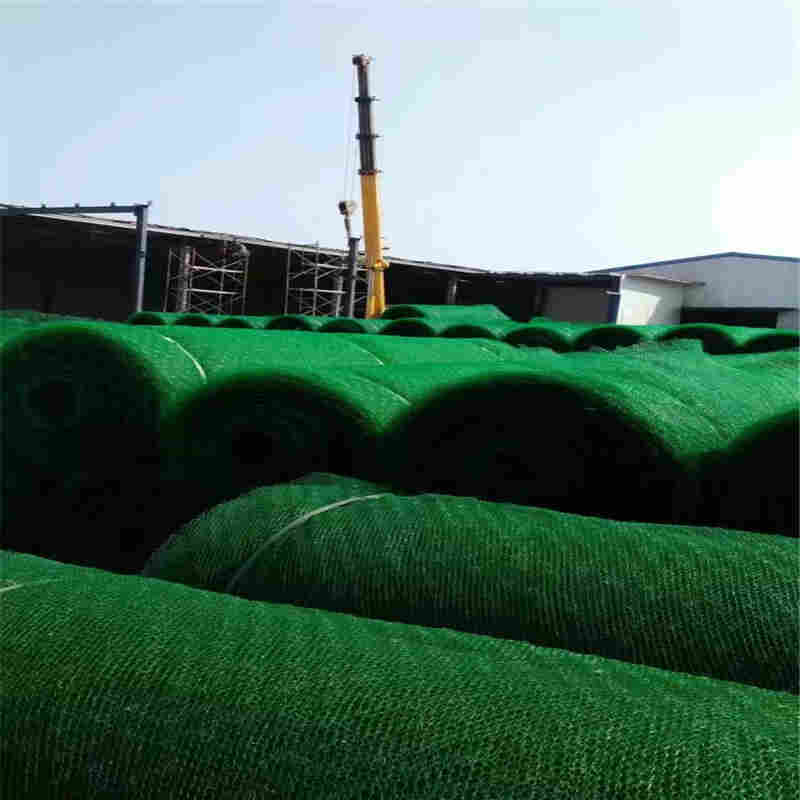 欢迎——内江三维植草网垫出厂价格——内江口碑生产厂家