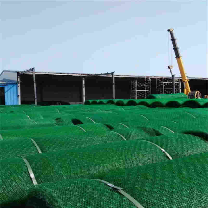 欢迎——襄阳三维植草网厂家——襄阳口碑生产厂家