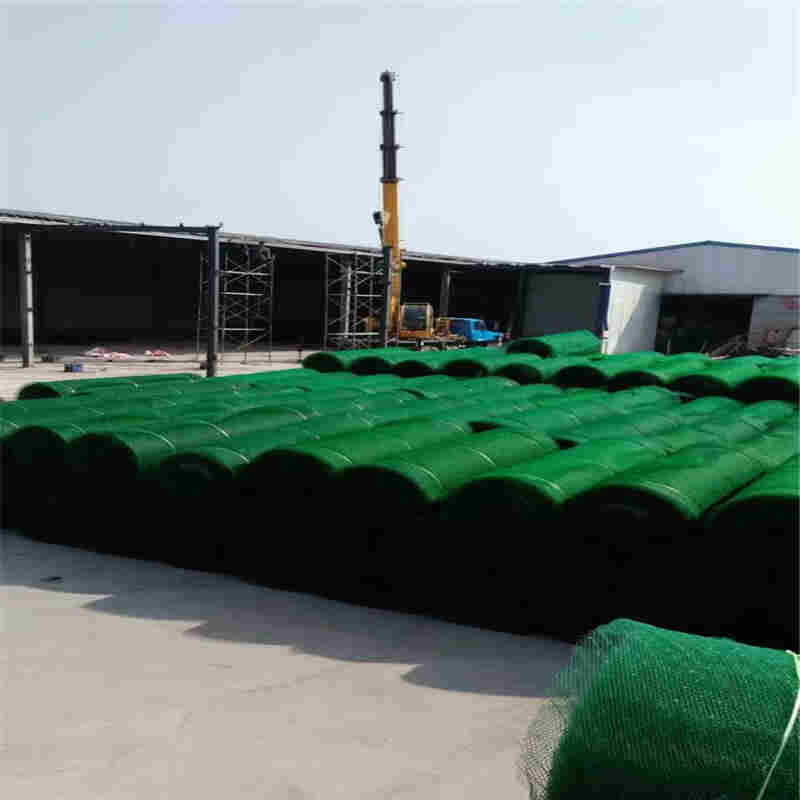 欢迎——沧州三维植草护坡网价格——沧州口碑生产厂家