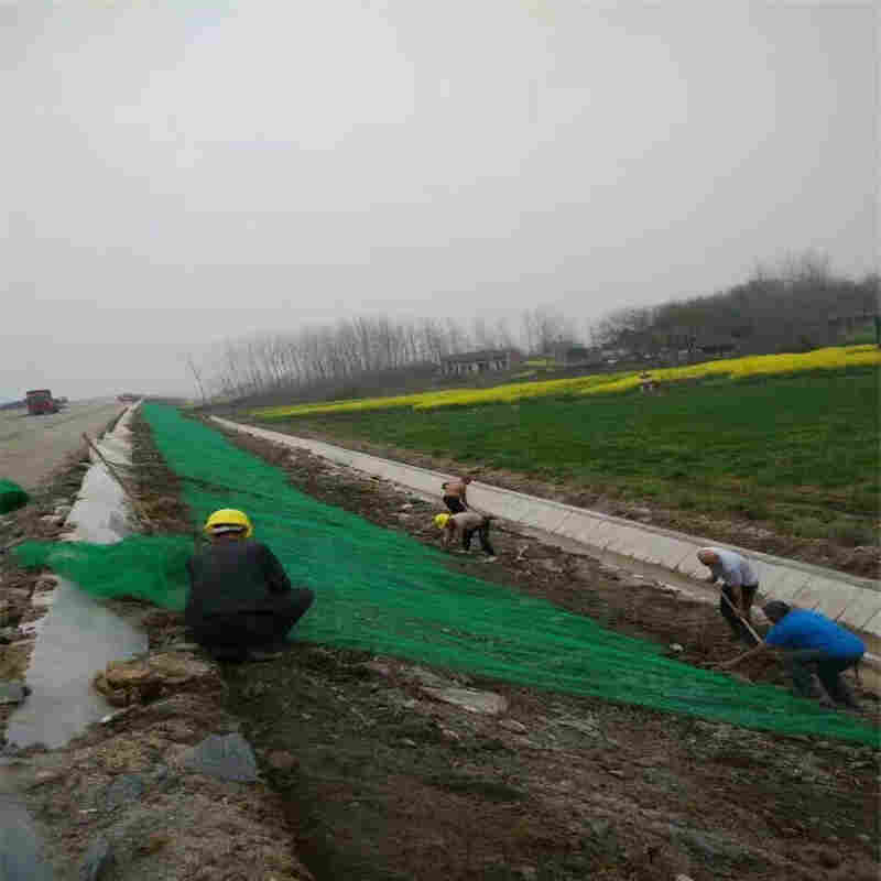 2020商洛诺联三维植被网批发-泰安生产厂家