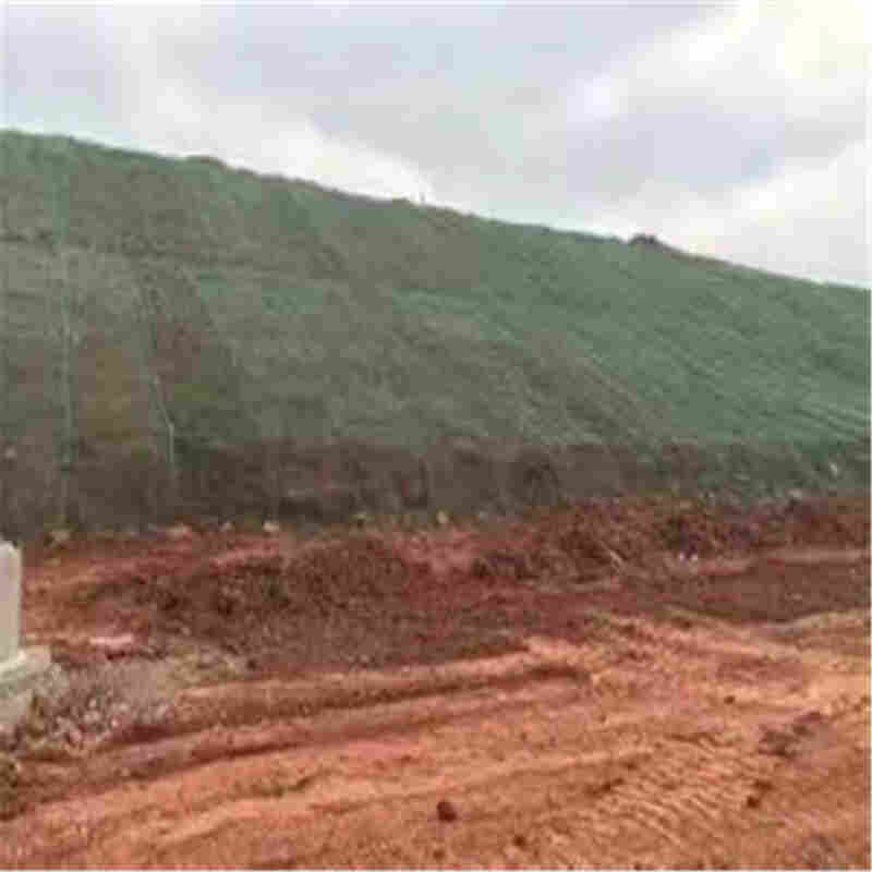 欢迎——惠州三维植草网有卖的——惠州口碑生产厂家