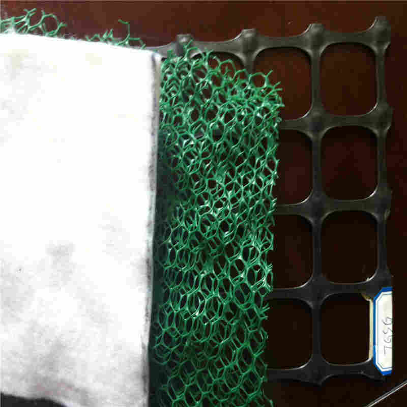 欢迎——沧州三维植草护坡网价格——沧州口碑生产厂家