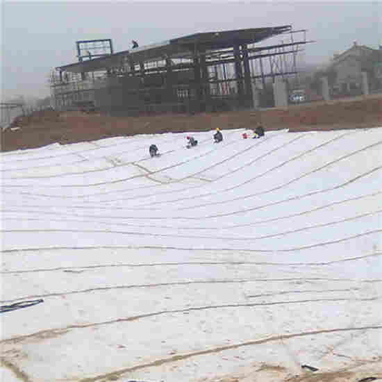 安徽淮南地下车库排水板厂家价格行情*2天到货