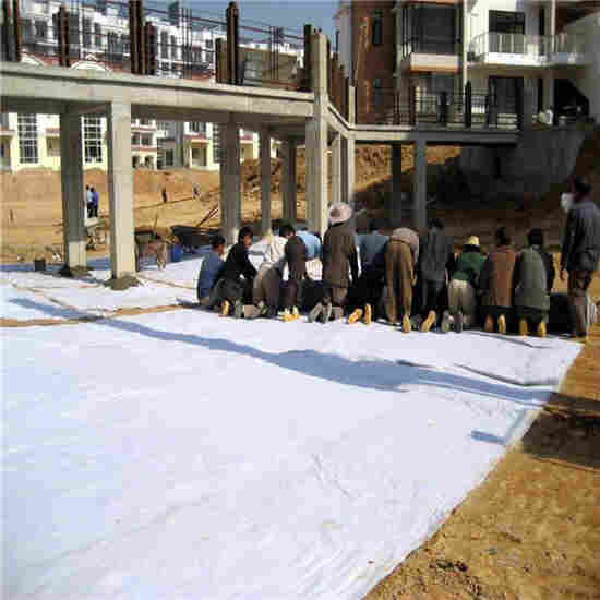 安徽安庆蓄排水板（车库顶板排水板）-诚信*