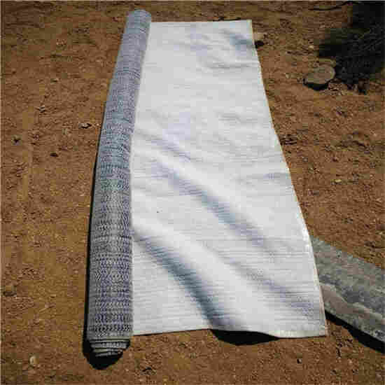 安徽池州疏水板（种植屋面排水板）-闪电发货满意付款