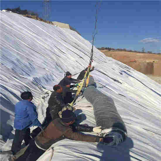 河北衡水排水板厂家价格行情*诚实守信