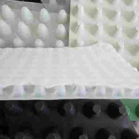 欢迎光临）承德塑料排水板--（塑料排水板当天发货）