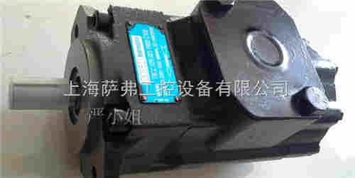 DENISON丹尼逊T6ED-066-045-1R01-B1 ​