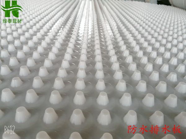 高效快捷-陕西省排水板-供货商订做