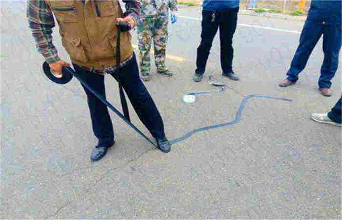 汕头贴缝带—价钱优惠(裂缝密封贴)