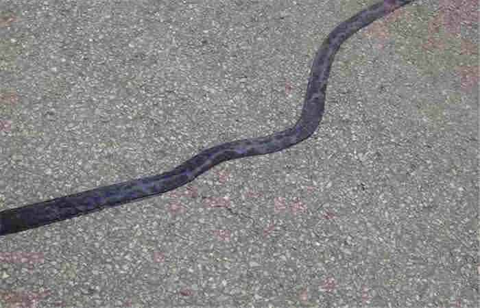 岳阳贴缝带—厂家直销(压缝带)