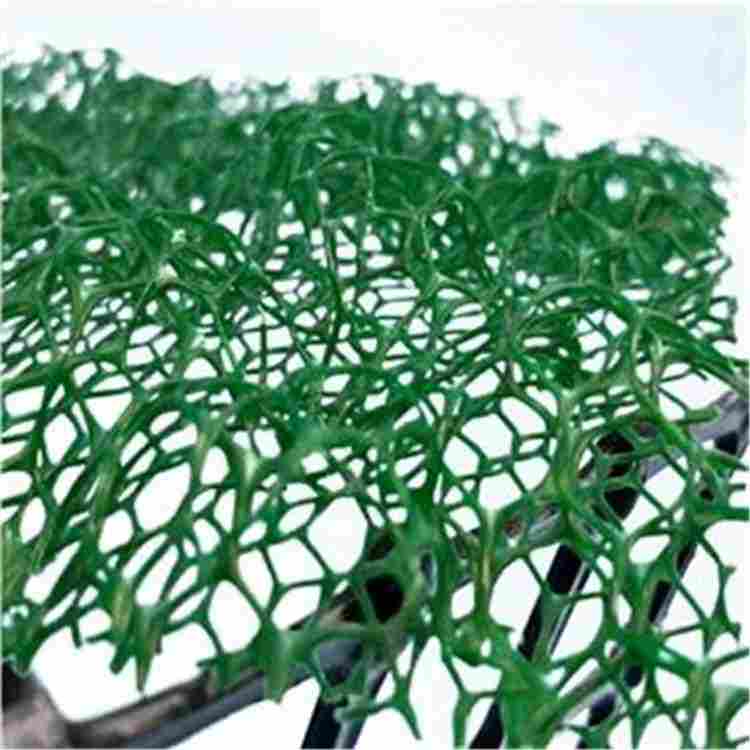报价:赤峰三维植被网em4价格-赤峰厂家欢迎您 报价:赤峰三维植被网em4价格-赤峰厂家欢迎您