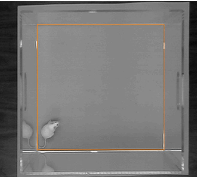 如何利用anymaze动物行为学软件进行旷场宫格划分？