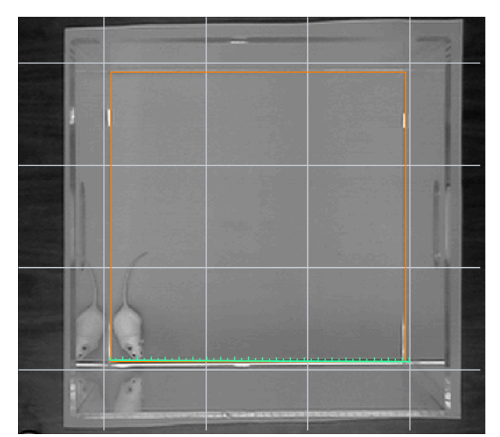 如何利用anymaze动物行为学软件进行旷场宫格划分？