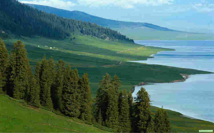 鹰潭西门子6SE7032-7EB87-2DA1水冷电抗器