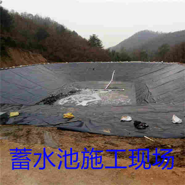 :文山州防渗土工膜生产公司欢迎光临