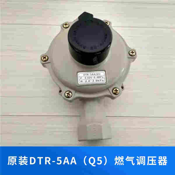 DTR-5AA燃气调压阀 Q5燃气调压器