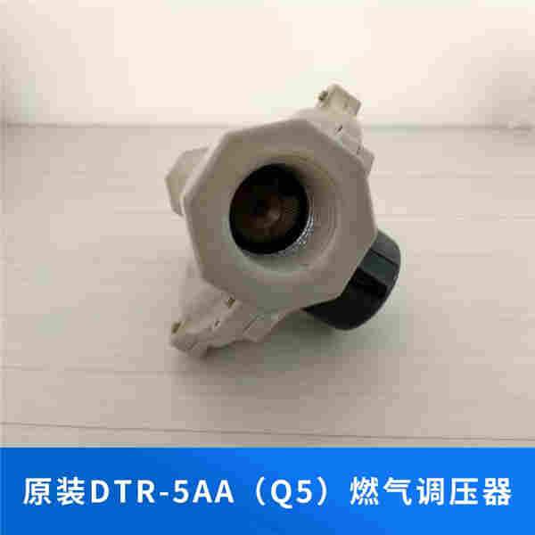 DTR-5AA燃气调压阀 Q5燃气调压器