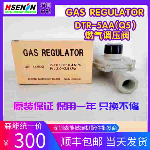 DTR-5AA燃气调压阀 Q5燃气调压器