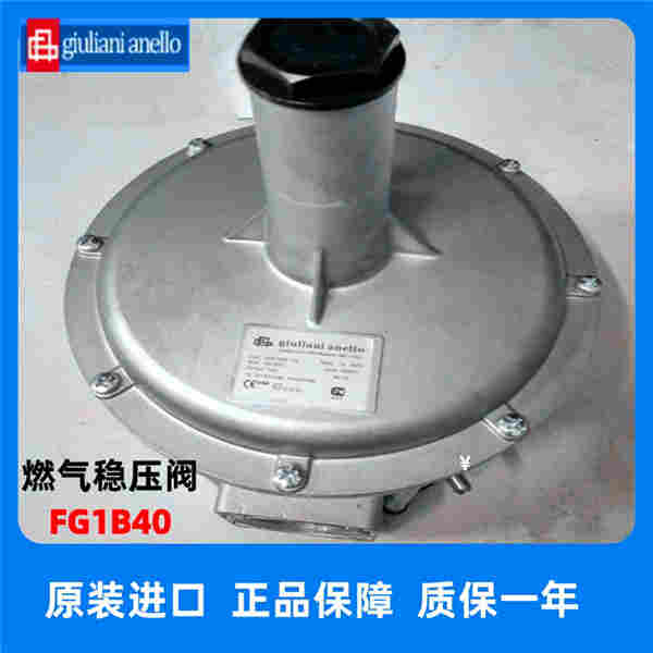 朱利安尼FG1B25稳压阀 FG1B40减压阀
