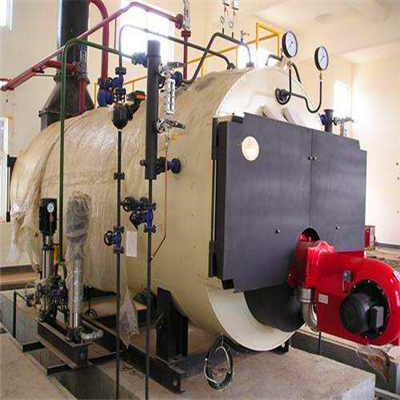 昌吉吉木萨尔生物质蒸汽锅炉制造厂家