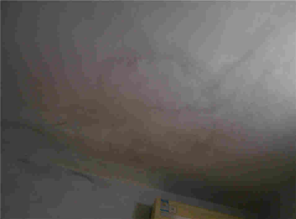 镇海厂房完损状况检测