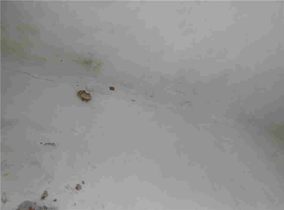 杭州房屋安全性检测