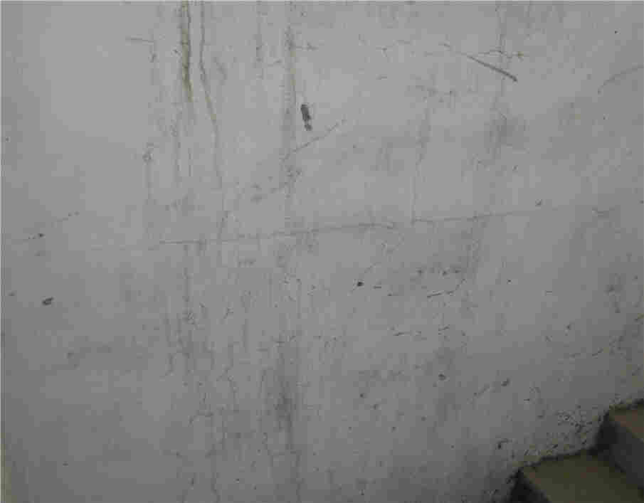 嵊州建筑可靠性鉴定