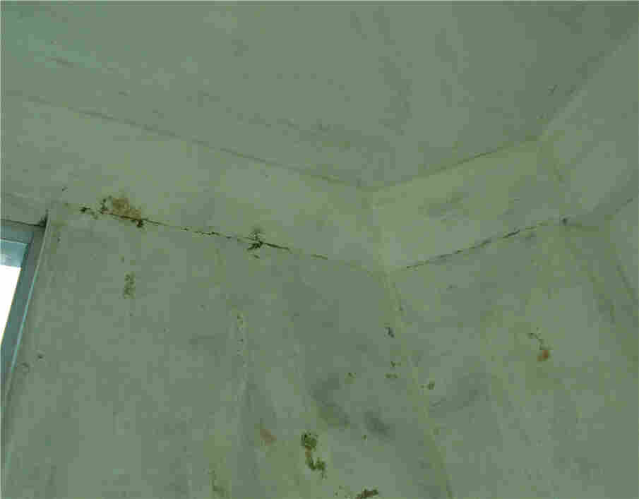 玉环第三方鉴定机构