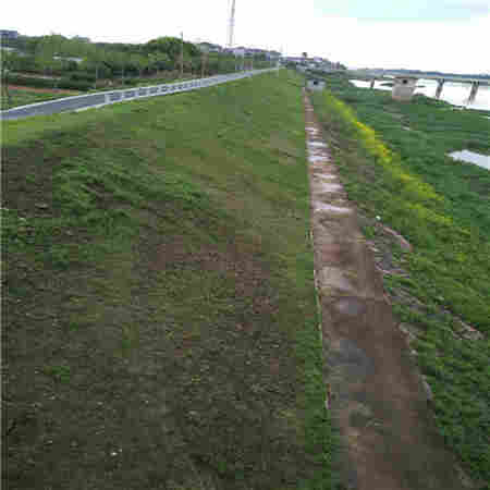 北京直销抗冲生物毯 河渠护岸厂家直销
