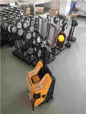 ZHSFW3009 ZHSFW3009 ZHSFW3009