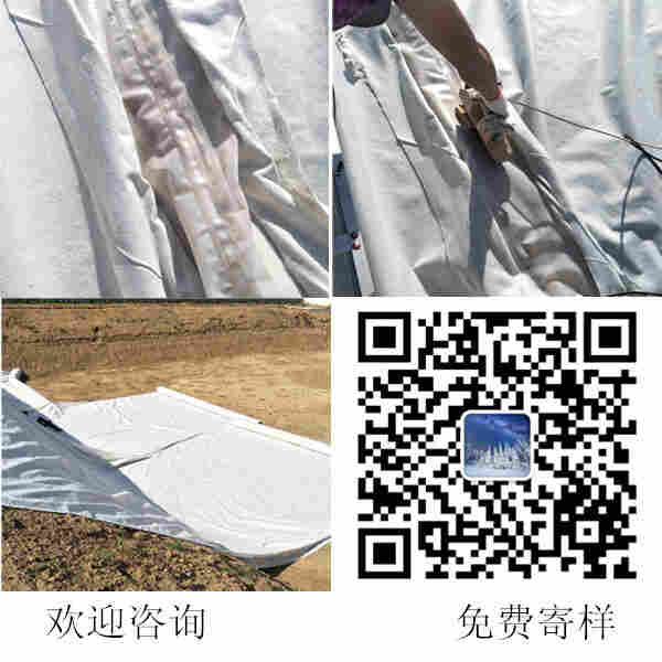 欢迎咨询——攀枝花防渗土工膜——股份公司
