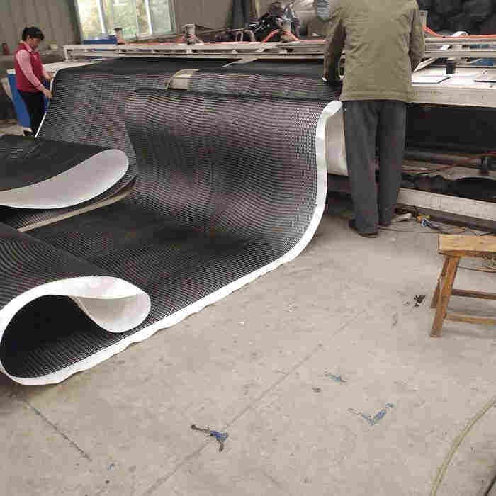 欢迎——新乡塑料排水网——规格齐全