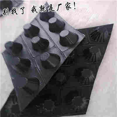 辽阳-蓄排水板厂家直销百达公司