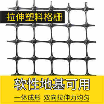 塑料格栅厂家供应——南充百达集团公司现货销售