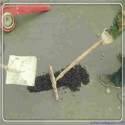 欢迎选购——拉萨防裂贴欢迎您