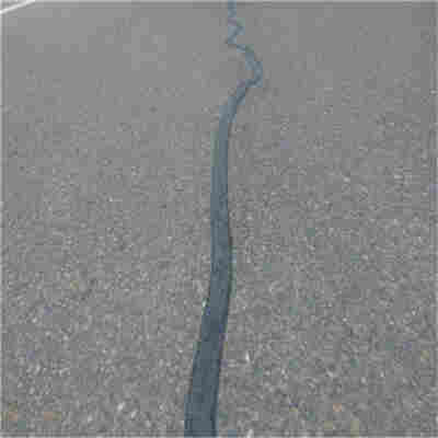 选购——中卫长丝土工布股份实业有限公司