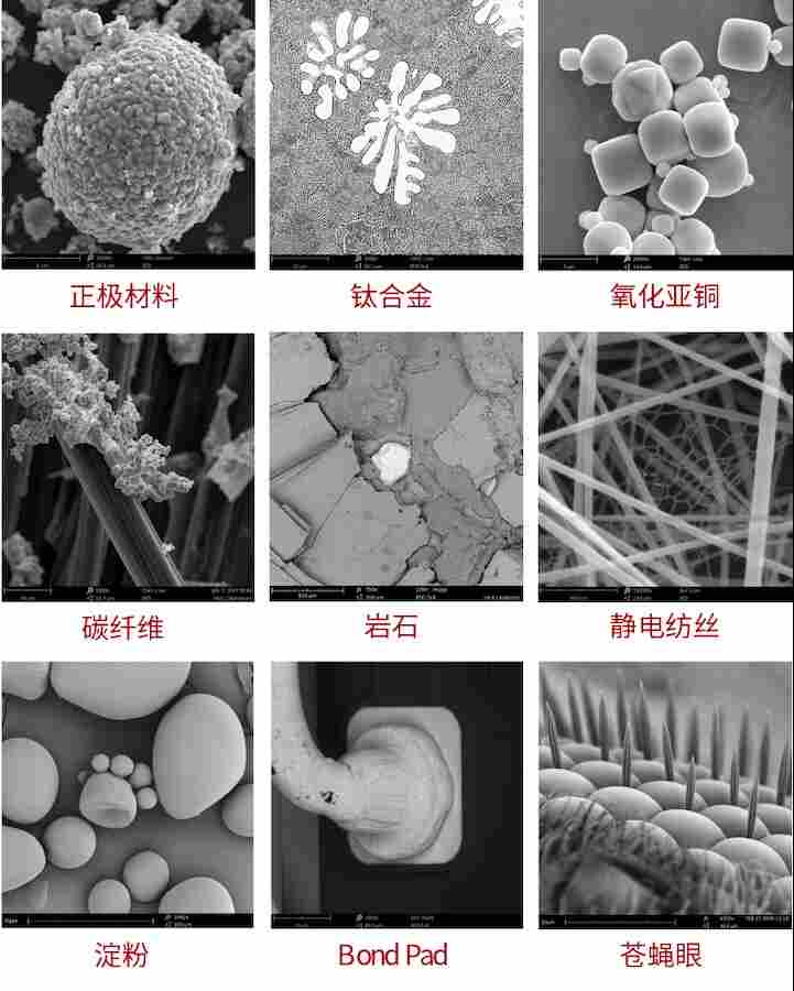扫描电镜采购选型指南