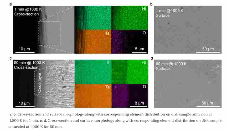 用台式扫描电镜，做实验发 Nature 通通都能行