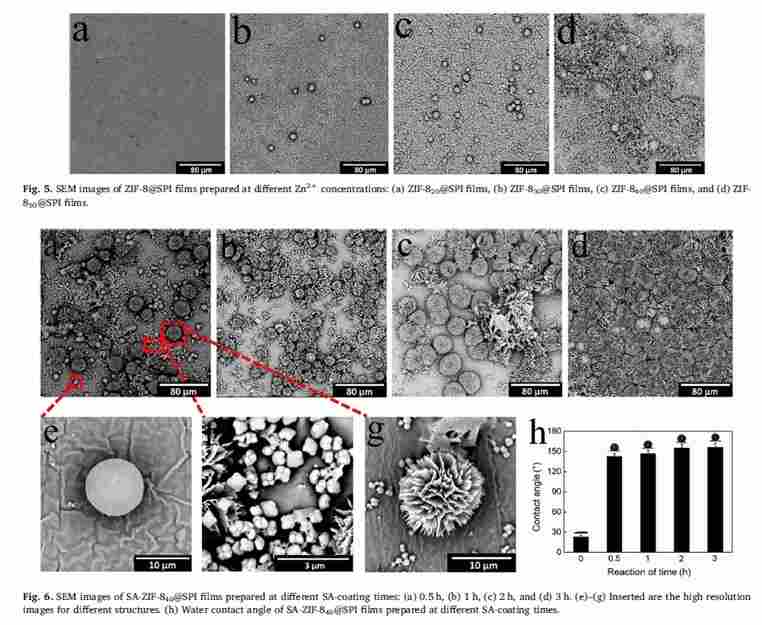 用台式扫描电镜，做实验发 Nature 通通都能行